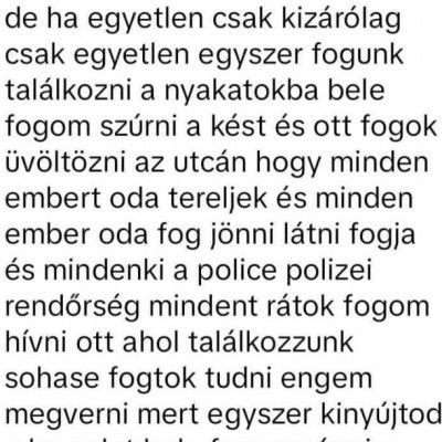 Pityukát beszaratták a megvert sodi esetével, erre idegrohamot kapott messengeren
