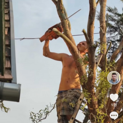 Trutymò vidáman fent a fán egy Làncfűrésszel