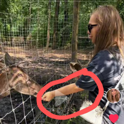 Lamantin túlzásba esése a soványító filterrel...