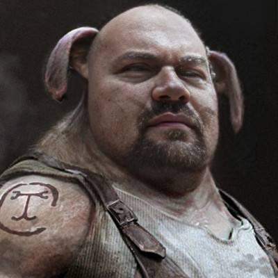 Mc Sertés Koldus