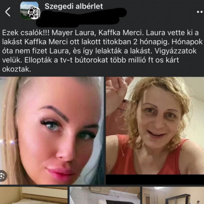 Dagadt prosti Mayer Lamantinra kiakadt a főbérlője