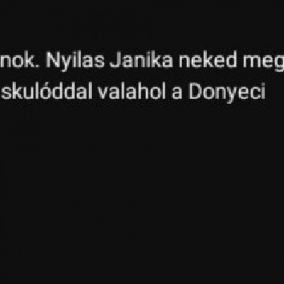 Nyilas Jánost szidó ernő az ernő