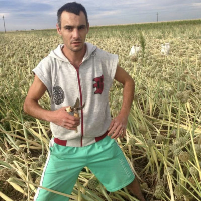 Retrò Pálcika Mobilsz a pusztában