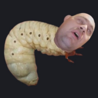 A miskolci élősködő làrva (Kovács Kristóf egykori alkotása)
