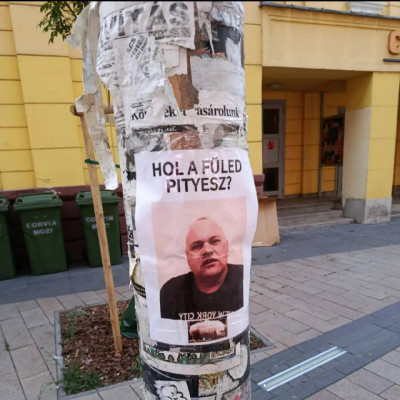 Fületlen MC sertéskényit megint kiplakátoltàk (jobb minősèg)