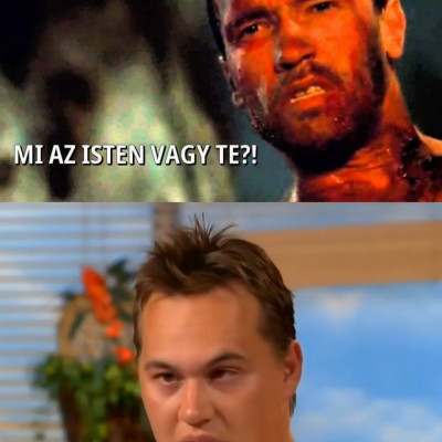 A miskolci predátor