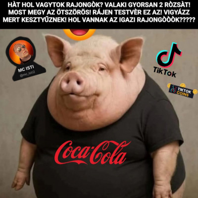 A TikTok sertés Pista egy átlagos napja