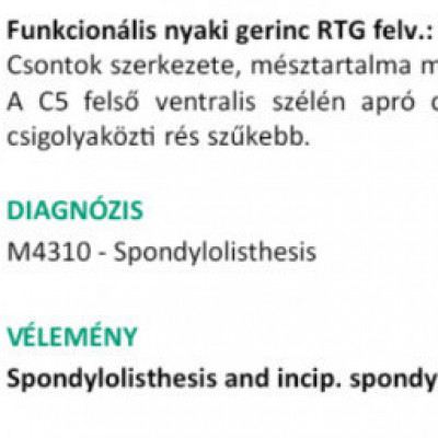 Twitch koldus KlikkerTV és az orvosi lelet, hogy ő rokkant és munkaképtelen.