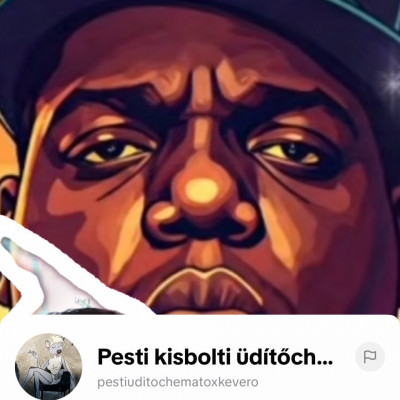 Meleg Maci Tibi új profilképe