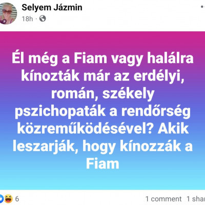 Selyem Jàzmin facebookon gyűlölködve randalírozik