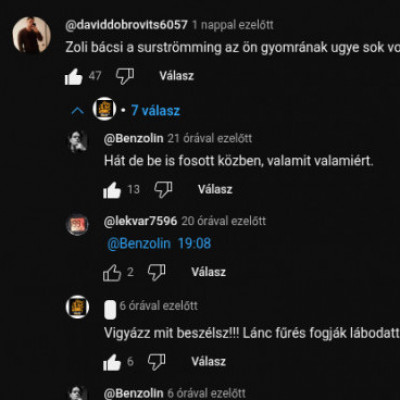 Alkeszinfó-1 Zolibá láncfűrésszel lábat levágós gyűlölködése a moslékfőző videója alatt