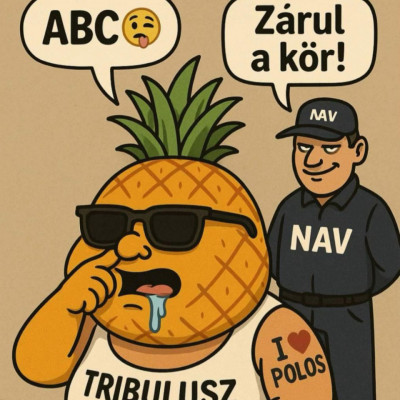 MC Isti: Zárul a Kör