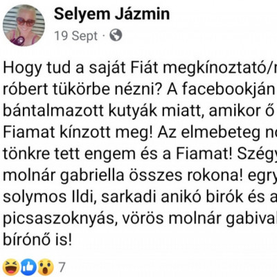 Elmebeteg Skizò Selyem Jàzmin megint a képzeletbeli fia miatt gyűlölködik facebookon