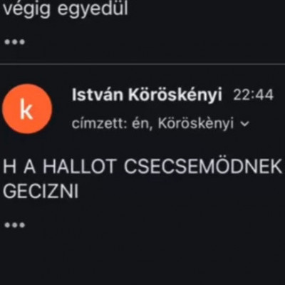 Mc közveszélyes elmebeteg emeli a tétet: a szokásos gyermekezés, majd Hitler éltetés, valamint rendőrök és bírók fenyegetése