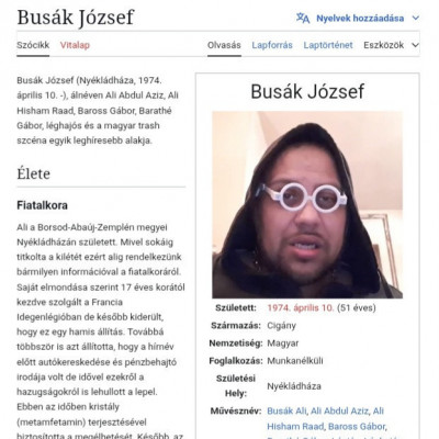 Busàk Jòzsef Történelem a Trash Wikipédiàn