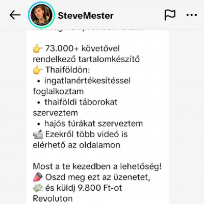 A simlis Sztívpatkàny privàtban akar pénzt kicsalni az emberekből illegális szerencsejátékkal