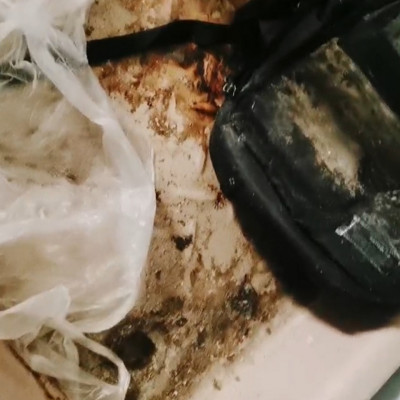 Embertelen körülmènyek a púpszászi Horrorházban