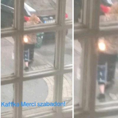 Kaffka Merci szabadlàbon