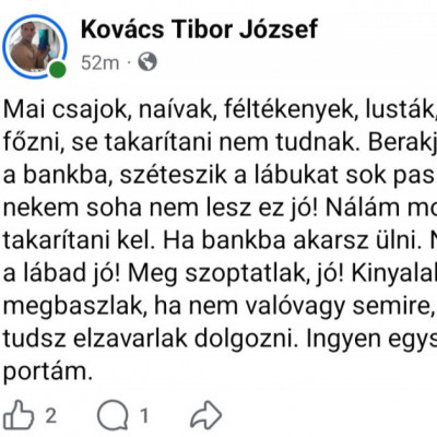 Macsò Tibi elváràsai