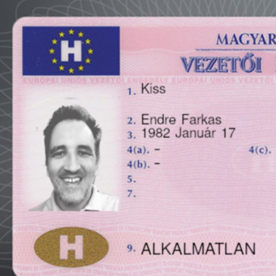 Endrének való jogosítvány: Mindenre alkalmatlan