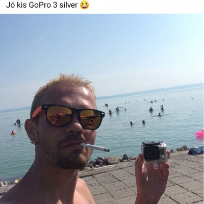 Koldus Herbert 2015-ben