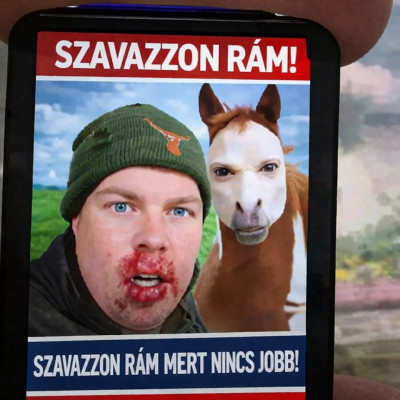 Koldus alex