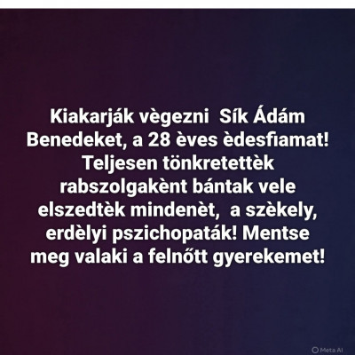 Skizò Jàzmin fiàt àllítòlag fèlholtra vertèk