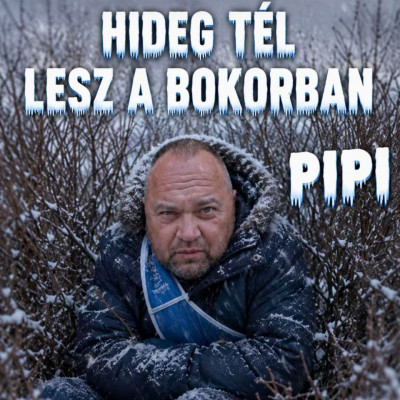Idèn is hideg tèl vàr a bokorlakò Dömpicúrra