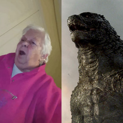 LÁDZILLA