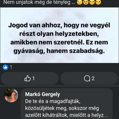 Bölcs kurva és Gergő bölcsességei