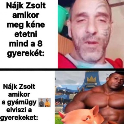 Nájk Zsolt - gyámügy mém