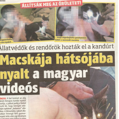 Trutymó (Schalk Mátyás) BORS (2019.NYÁR)