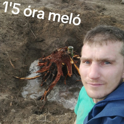 Lerobbantfejű Trutymò melòzik