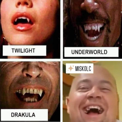 MC Isti memes & shit