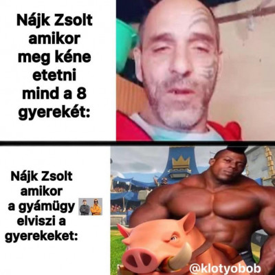 Nájk Zsolt - gyámügy mém