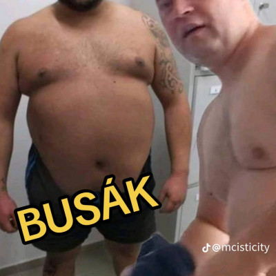 A Léghajós meg a Malac