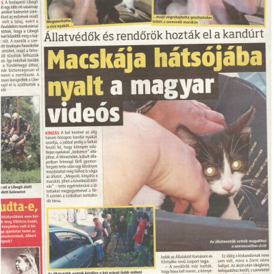Trutymó (Schalk Mátyás) BORS (2019.NYÁR)