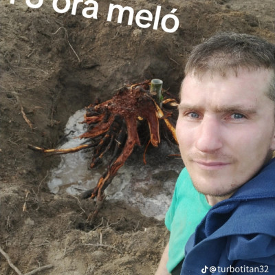 Lerobbantfejű Trutymò melòzik
