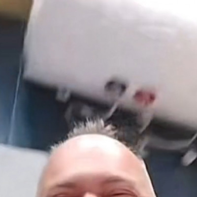 Mc Istinek jòformán alig maradt már foga
