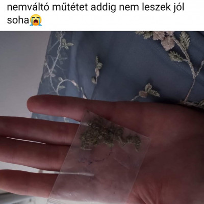Tranyó Fanni Dávidka füvezéssel enyhíti a depit, mert nincs pénze műtétre csövesként