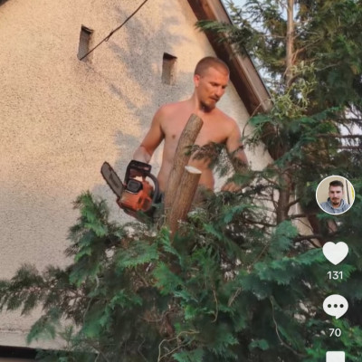 Trutymò vidáman fent a fán egy Làncfűrésszel