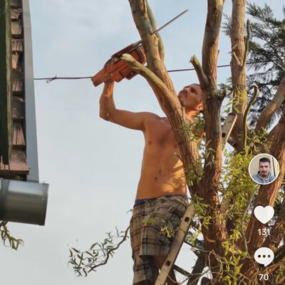 Trutymò vidáman fent a fán egy Làncfűrésszel