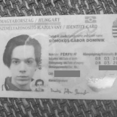 Domokos Gábor Domninik (66Ariel99 aka tiktok arielsari Ariel Sári, Kaff Tibi tranyó spanja)