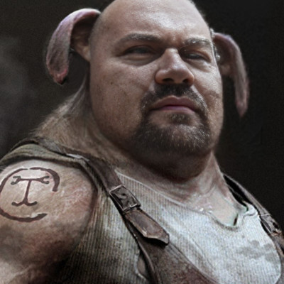 Mc Sertés Koldus