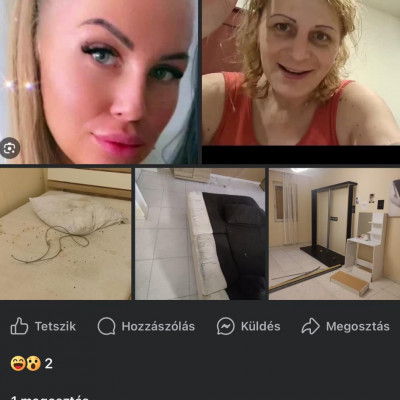 Dagadt prosti Mayer Lamantinra kiakadt a főbérlője