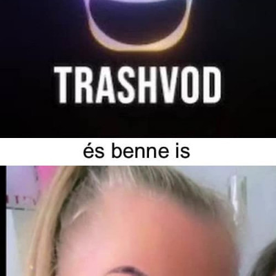 Epic Trashvod-Lamantin meme