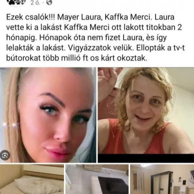 Mayer bordélyházáról publikusan lerántják a leplet