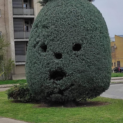 MC bolond pista ananász szobra Fehérváron.
