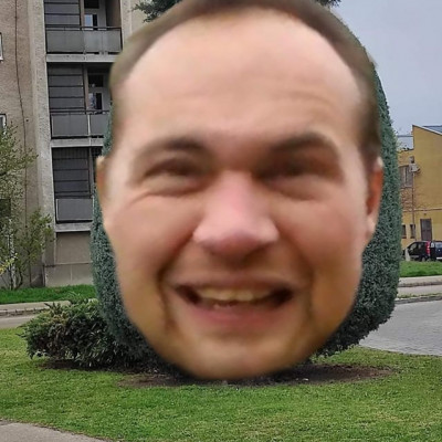 MC bolond pista ananász szobra Fehérváron.