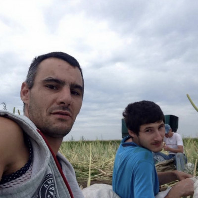Retrò Pálcika Mobilsz a pusztában